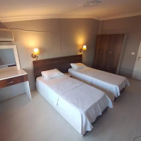 Elda Prestige Apt 2 シダ